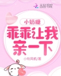 小奶糖,乖乖让我亲一下晋江