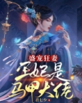 盛宠狂妻:王妃是马甲大佬小说