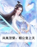 凤凰涅:祸国妖后的荣宠之路