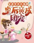 皇后进宫小说