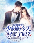 闪婚成宠少奶奶今天回家了吗小说