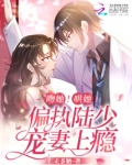 吻她！哄她！偏执陆少宠妻上瘾！