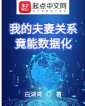 我的夫妻关系竟能数据化免费阅读