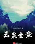 玉宸金章最新章节