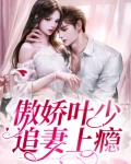 傲娇夜少追妻难
