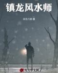 镇龙风水师