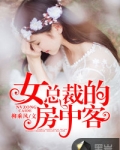 女总裁的房中客