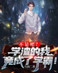 不是吧？学渣的我竟成了学霸！