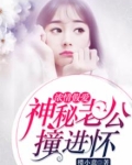 顶级宠婚,高冷老公惹不起 小说