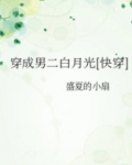 穿成男二白月光全文免费阅读