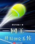 网王:开局绑定领袖系统飞卢