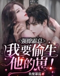 强撩霸总我要偷生他的崽小说