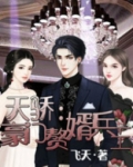豪门赘婿凌天辰