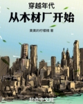 穿越年代：从木材厂开始
