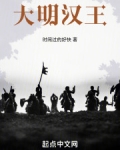 大明汉王赵王结局