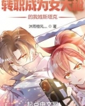转职成为女大枪的我姓斯塔克？