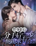 替身影后,分手后宁少他跪求复合