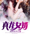 真龙女婿叶辰