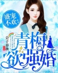 青梅引小说