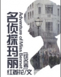 综名著名侦探玛丽百度云