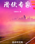 潜伏中的潜伏者