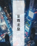 至尊龙皇叶凌全文免费阅读无弹窗