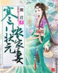 寒门状元农家妻