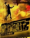 星耀篮坛 小说