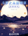 斗罗之花式开发蓝银草-乐不喝可乐-其他类型-88106