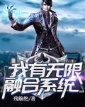 无限融合系统 小说