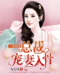 一夜甜蜜：总裁宠妻入骨