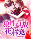 一夜蜜婚：狼性总裁花样宠！