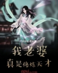 我的老婆是修炼天才 小说