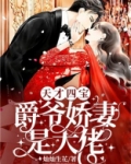 天才四宝:爵爷娇妻是大佬TXT下载