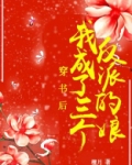 穿书后,我成了三个反派的娘