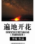 中国星火计划