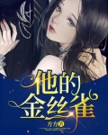他的金丝雀小说免费