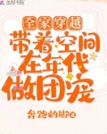 全家穿越:带着空间在年代做团宠