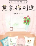 王者黄金i
