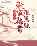 清穿之败家福晋狠嚣张