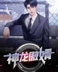 神龙傲婿
