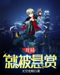 开局就被悬赏 天空光明