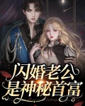 闪婚老公是神秘首富免费阅读全文下载