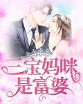 一胎三宝:妈咪大人快点跑 小富婆