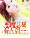 恶魔总裁的甜宠妻小说