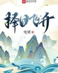 择日飞升