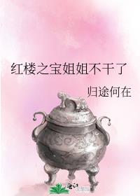 红楼之链为