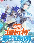提瓦特最强赘婿:序章