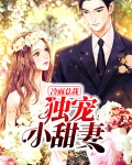 冷面总裁独宠小甜妻