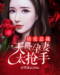 错爱总裁：天降孕妻太抢手